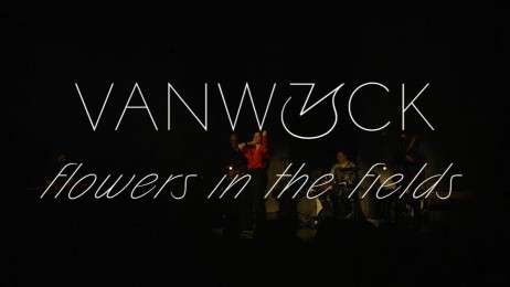 Flowers in the fields